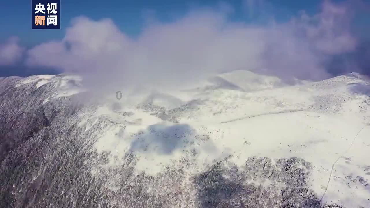 药明生物(02269)澄清：法案草案中对公司首席执行官及执行董事陈智胜有关经历的描述具有误导性