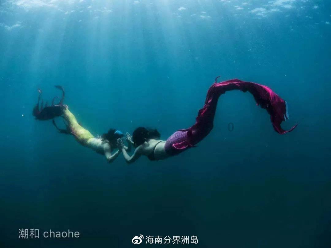 大白猫逃脱