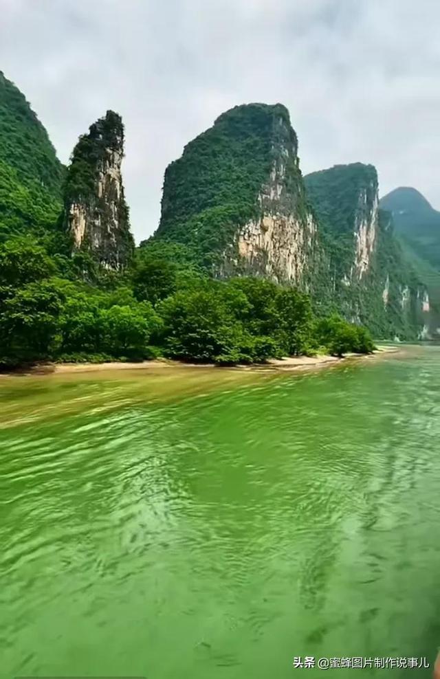 救援修女