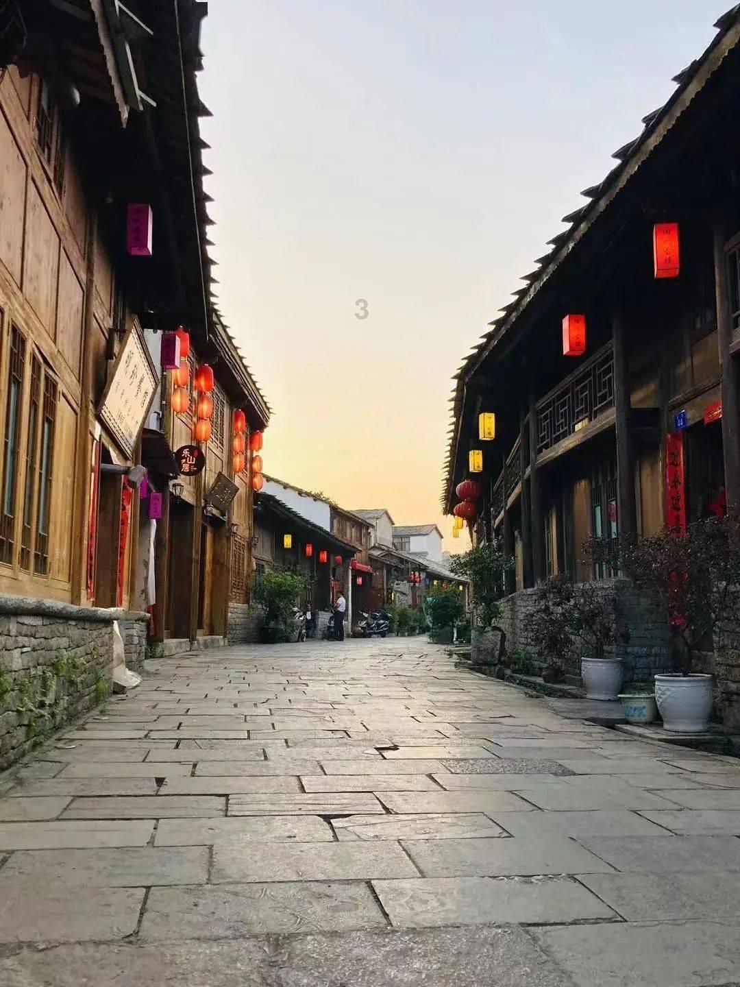 想要知道更多植物妈妈传播种子的办法就得？游戏画面