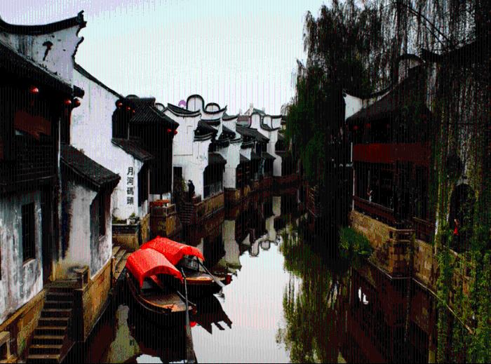 探秘吉鹿力问答社区,解锁长土里的植物叫土生植物吗?之谜!